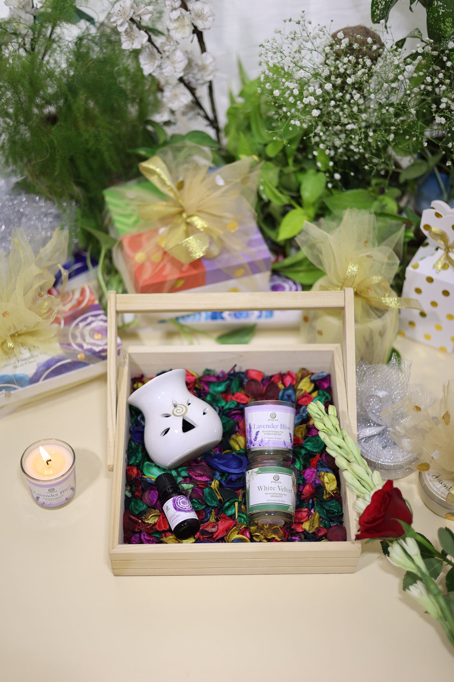 Bloom & Breathe Collection